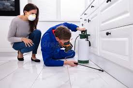 Reliable Carteret, NJ Pest control Solutions