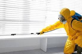 Best Termite Inspection and Treatment  in Carteret, NJ