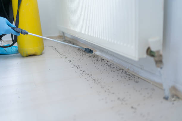 Best Pest Prevention Services  in Carteret, NJ